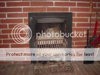 [Hearth.com] Newbie member, newbie wood burner
