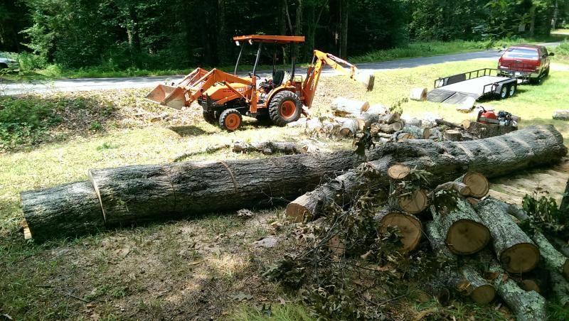 [Hearth.com] Two white oaks and a red oak