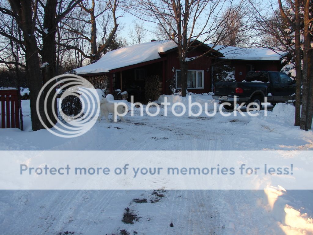[Hearth.com] Feb 2013 Storm thread