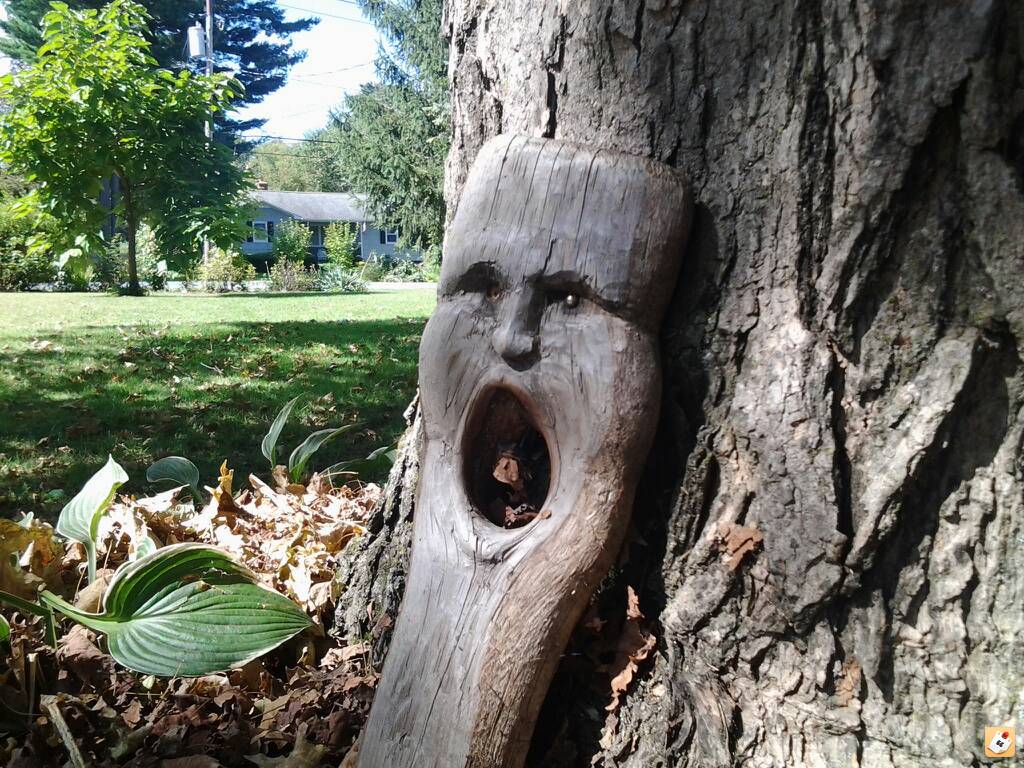 [Hearth.com] Designer firewood