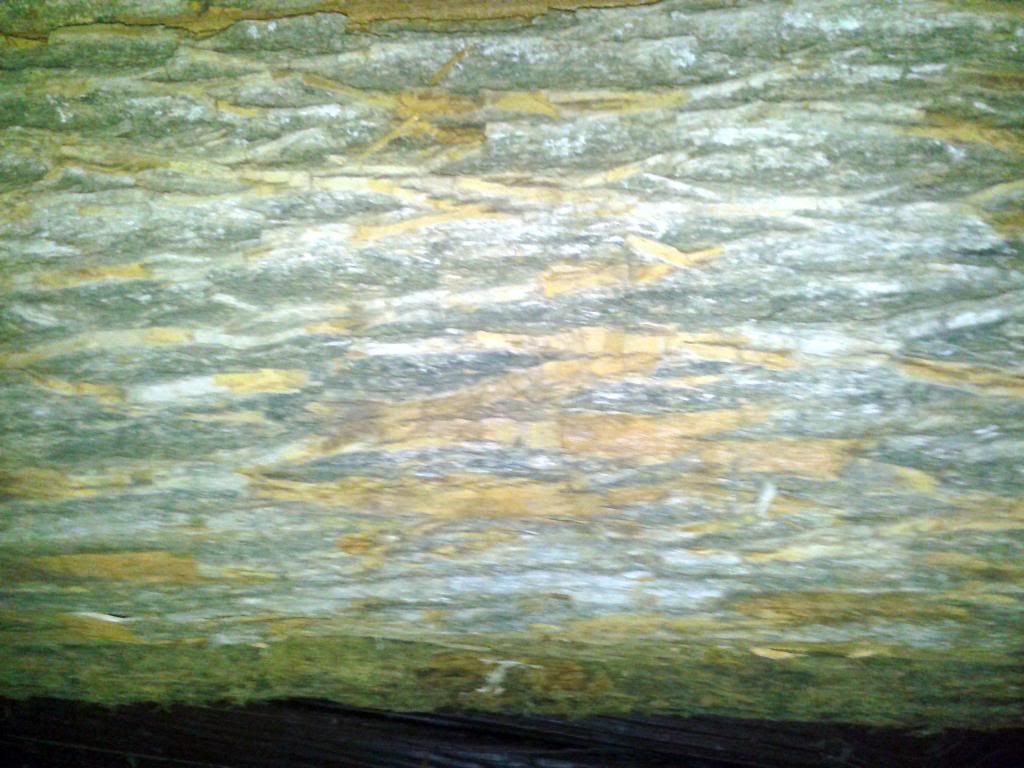 [Hearth.com] Wood id