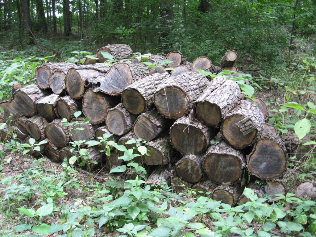 [Hearth.com] Pipeline Score