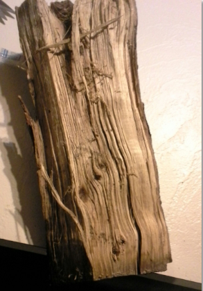 [Hearth.com] Large Hickory Branch?