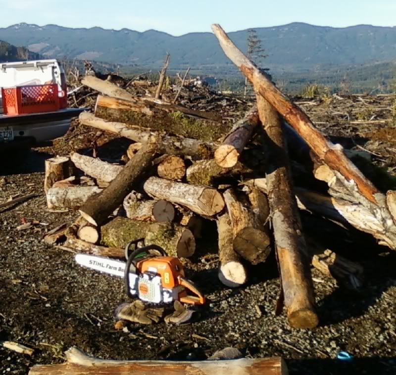 [Hearth.com] show off your chainsaw