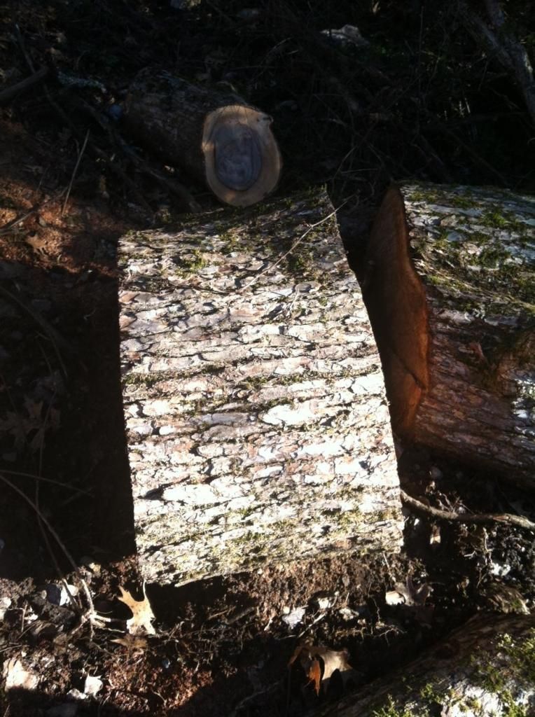 [Hearth.com] Wood ID