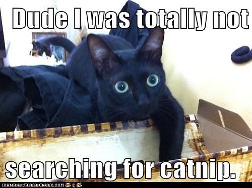[Hearth.com] Time for a chuckle or two.  Add yours.