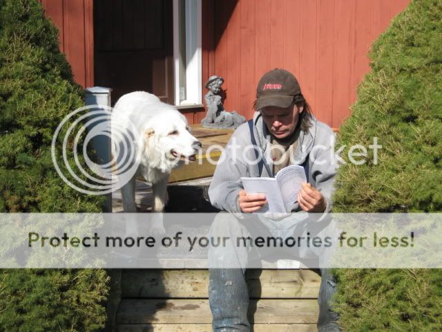 [Hearth.com] Had to put our dog to sleep today...