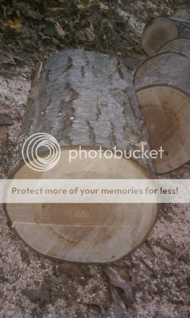 [Hearth.com] Sunday Saw and Crawl... plus wood ID