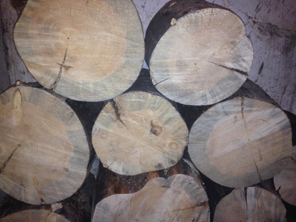 [Hearth.com] my weekend wood gathering