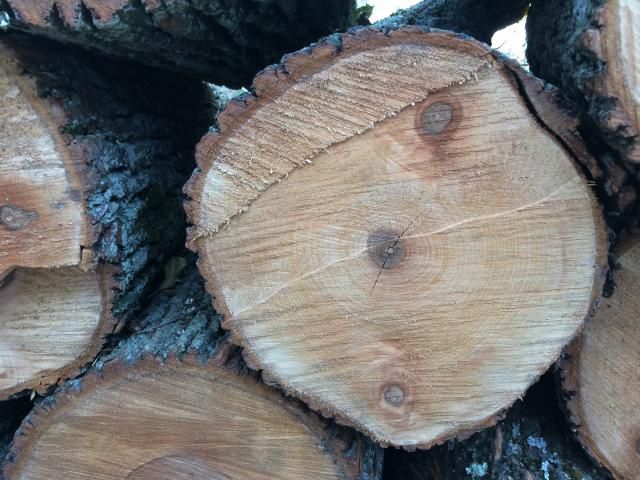 [Hearth.com] Wood ID Please