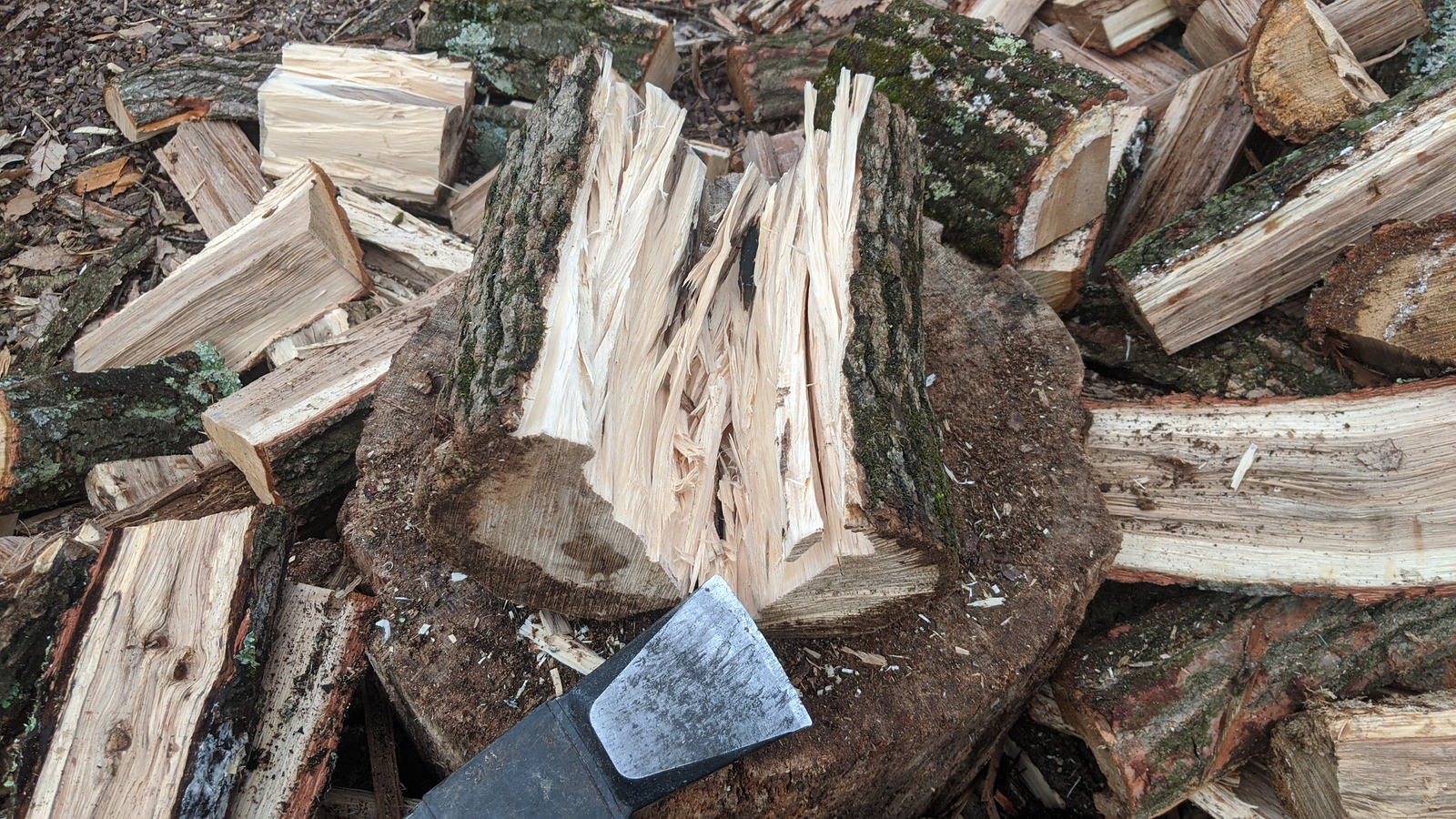 [Hearth.com] Another wood identification thread
