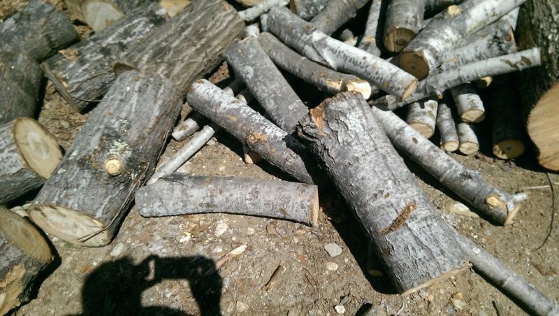 [Hearth.com] Wood ID please