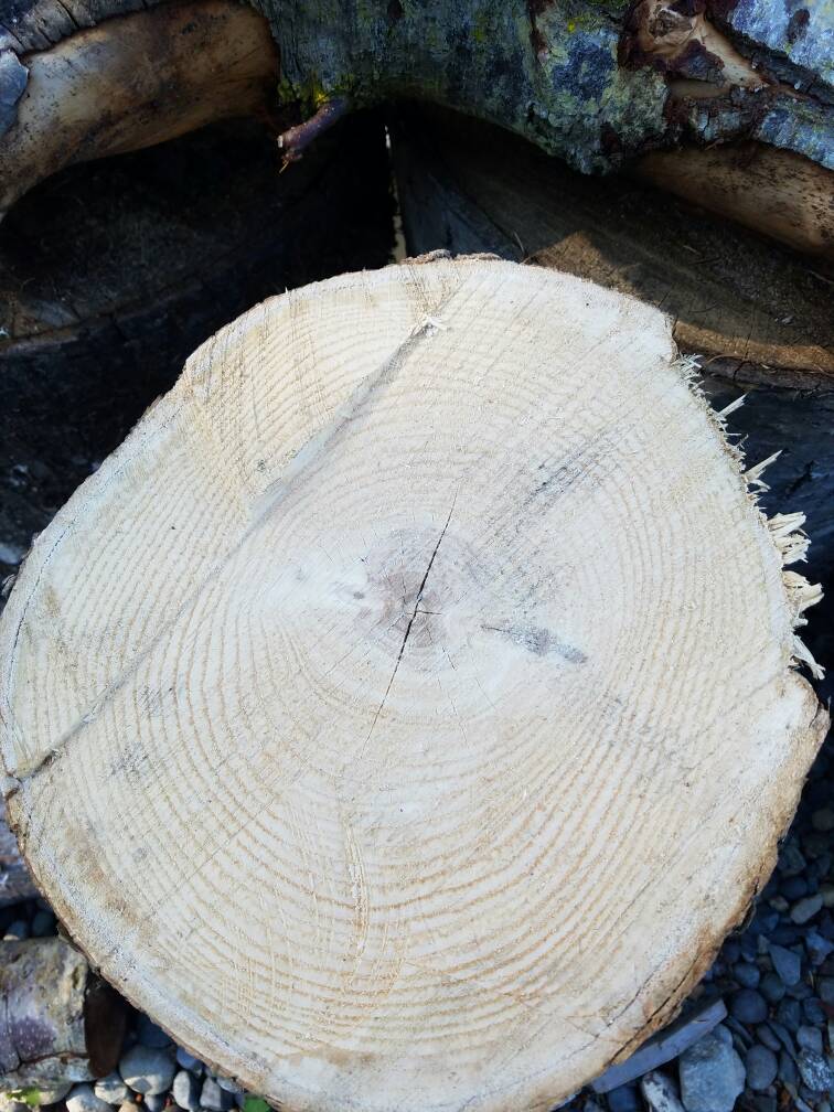 [Hearth.com] What type of wood is this