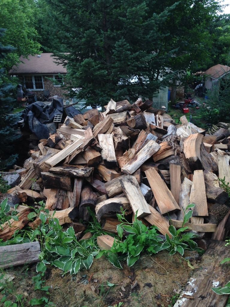 [Hearth.com] Brought home half of my wood pile