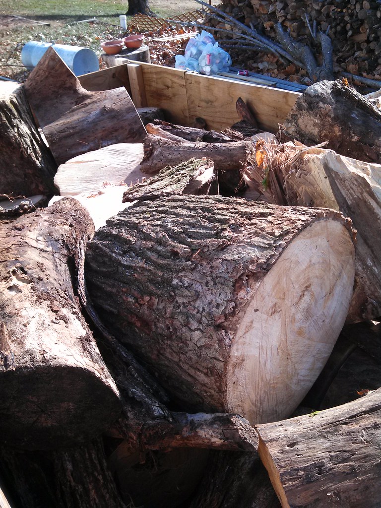 [Hearth.com] Wood ID Please..