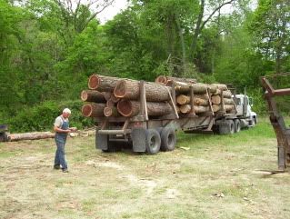 Selling Black Walnut Logs