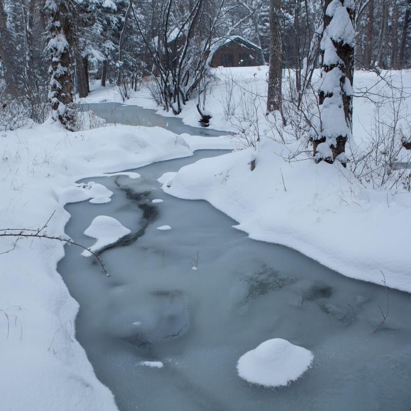 [Hearth.com] Cold Weather Pics ?