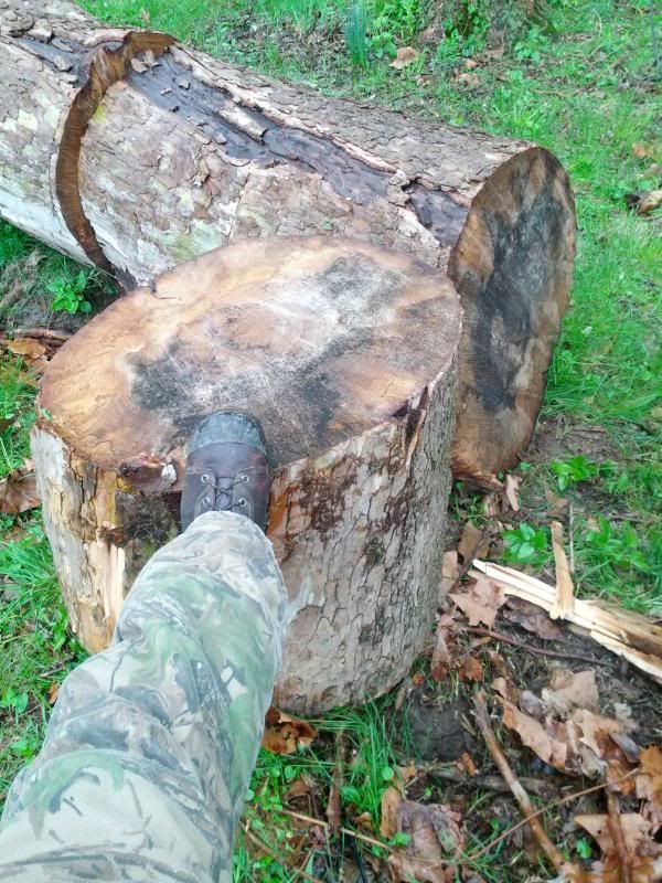 [Hearth.com] Not much but it's a start.... I got wood!