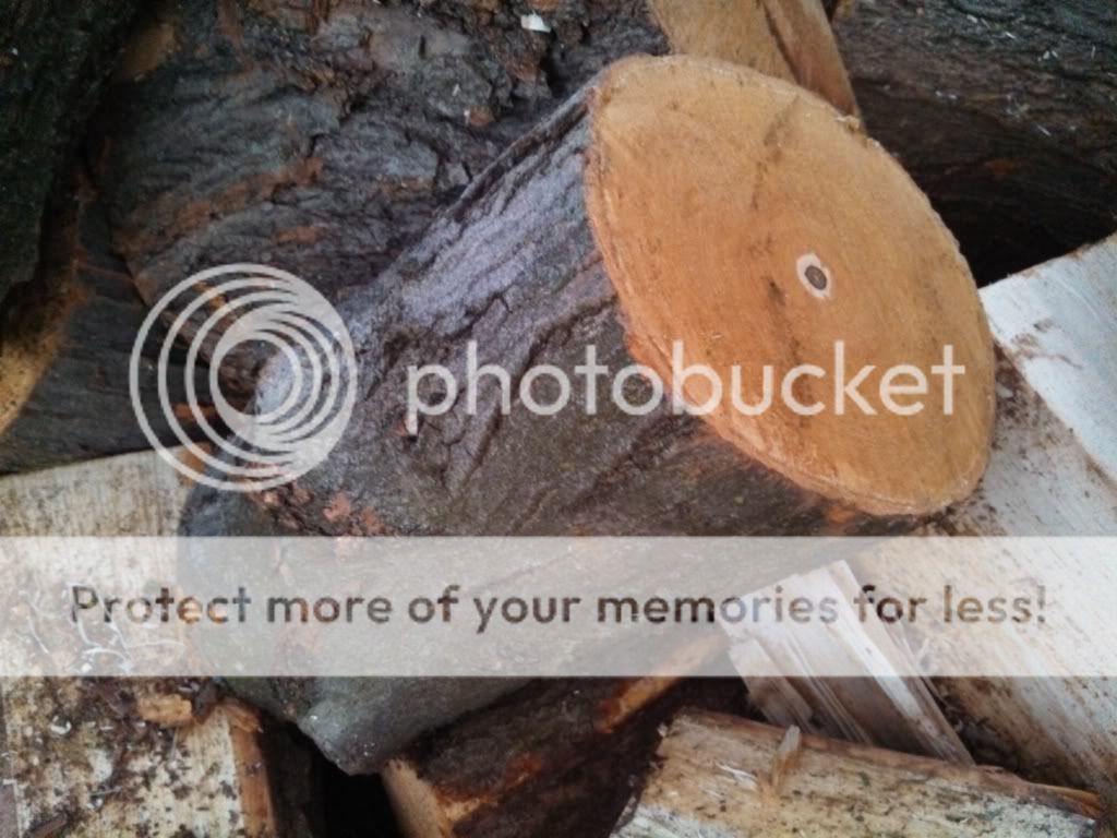 [Hearth.com] Special Delivery + Wood ID