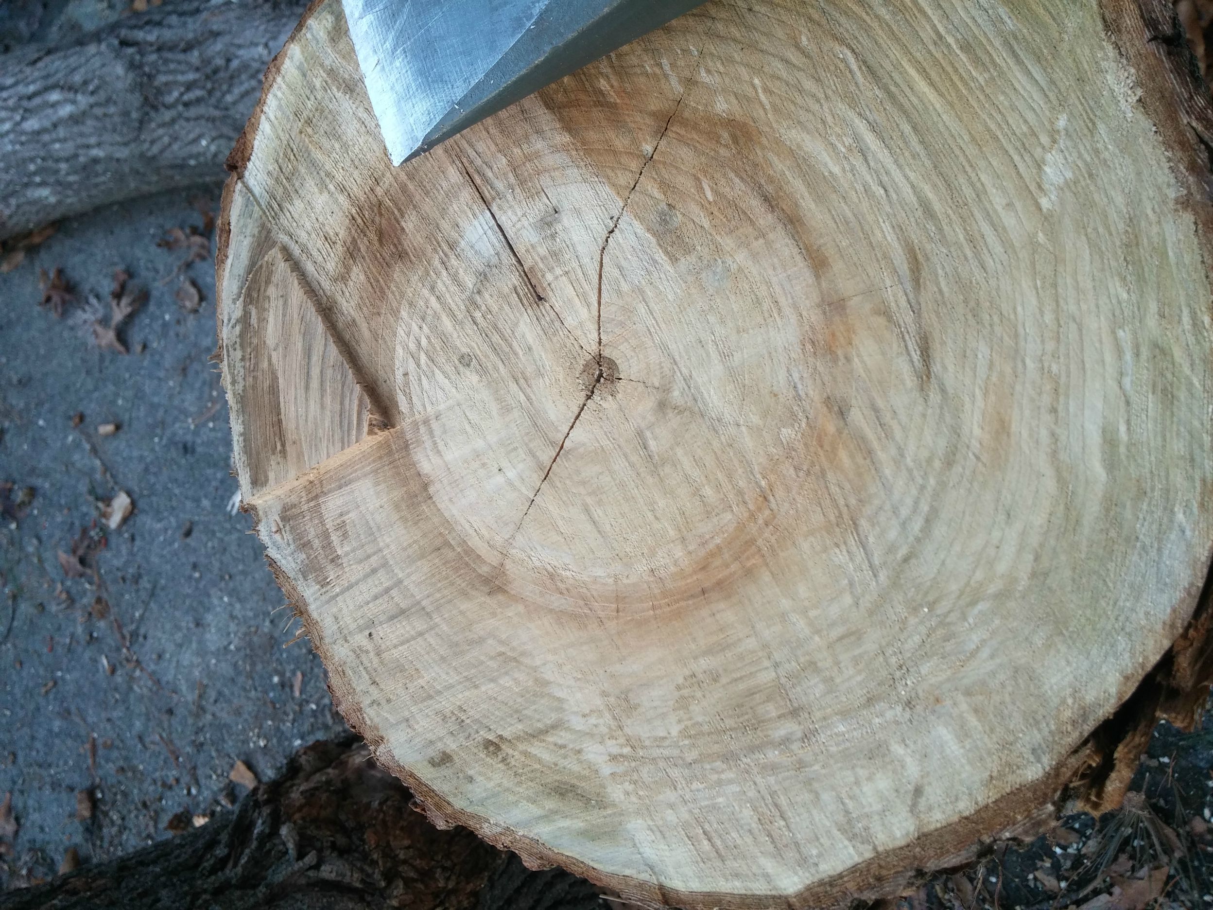 [Hearth.com] Wood ID