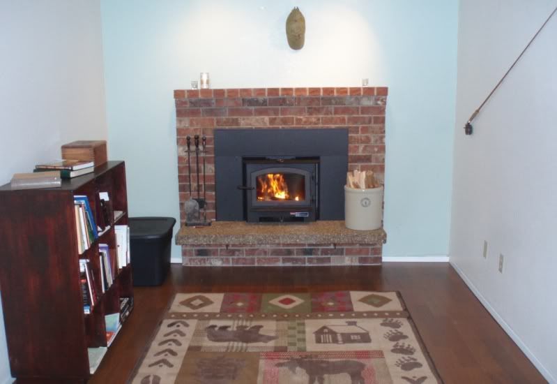 [Hearth.com] new member, new house, new insert...