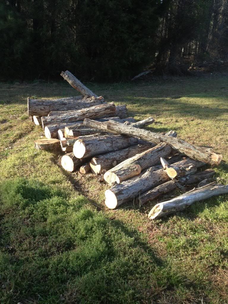 [Hearth.com] Made friends with a Tree Service man... would you pay $30 for this load of white oak?