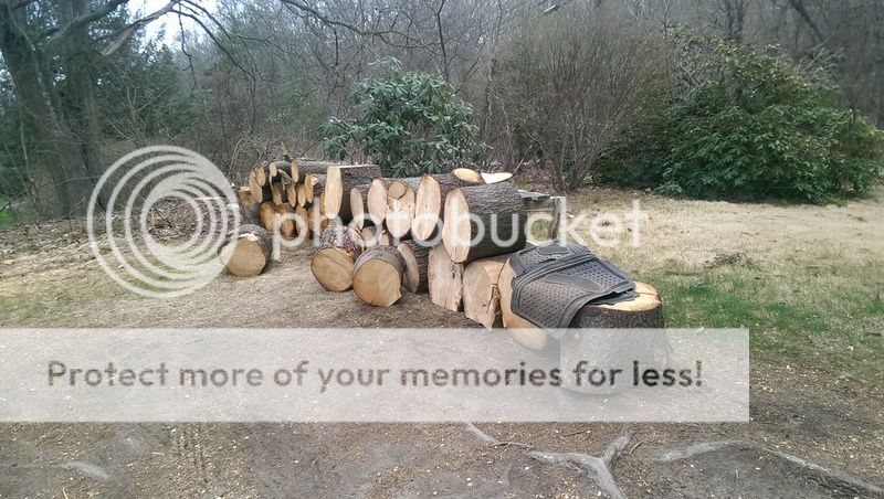 To much free wood at once in SE CT. Anyone want to help and share.