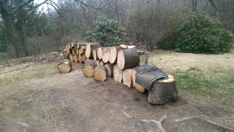 To much free wood at once in SE CT. Anyone want to help and share.