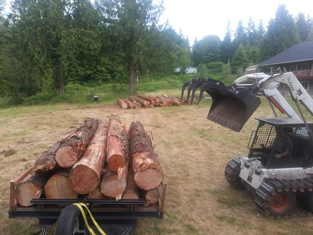 Scored some wood today...