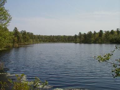 [Hearth.com] New Jersey in the summer