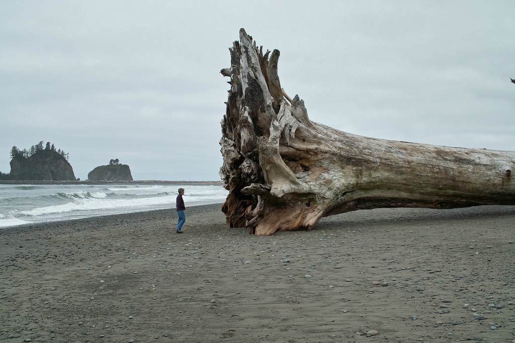 [Hearth.com] Whidbey island