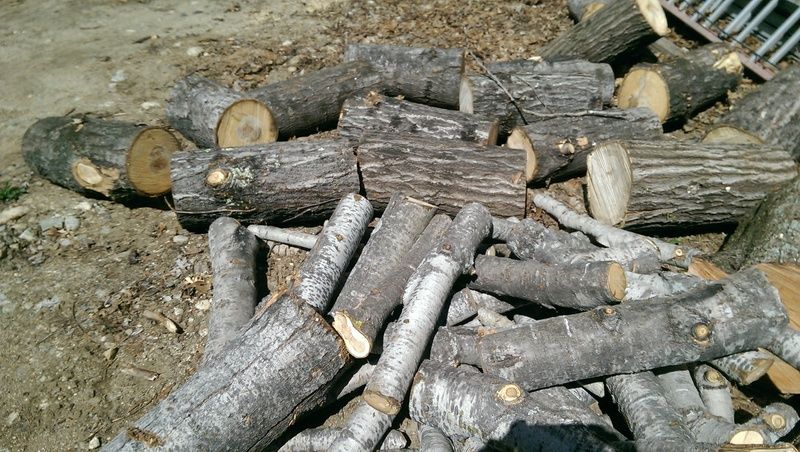 [Hearth.com] Wood ID please