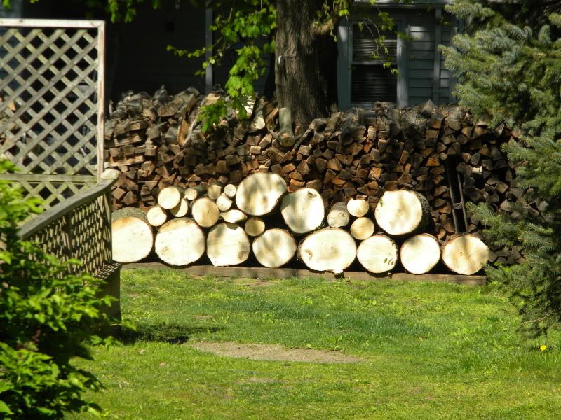 [Hearth.com] Got cut down an up tree!