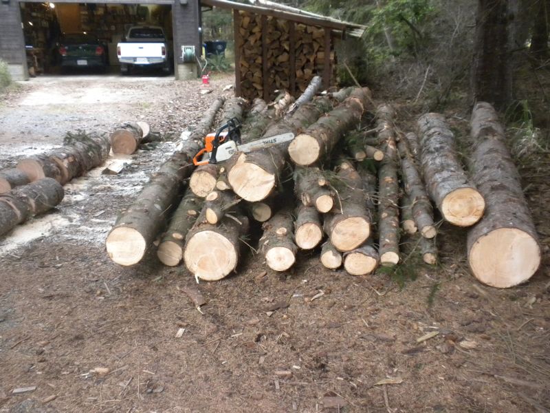 [Hearth.com] Best Time to Split Fir?