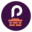 priddychimney.com