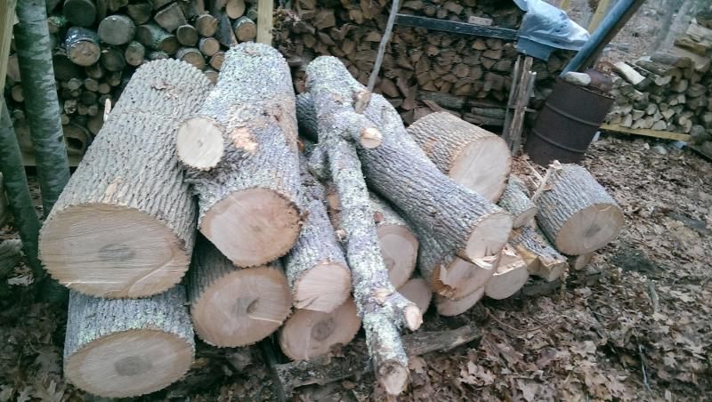 [Hearth.com] Santa brought me some ash for Christmas