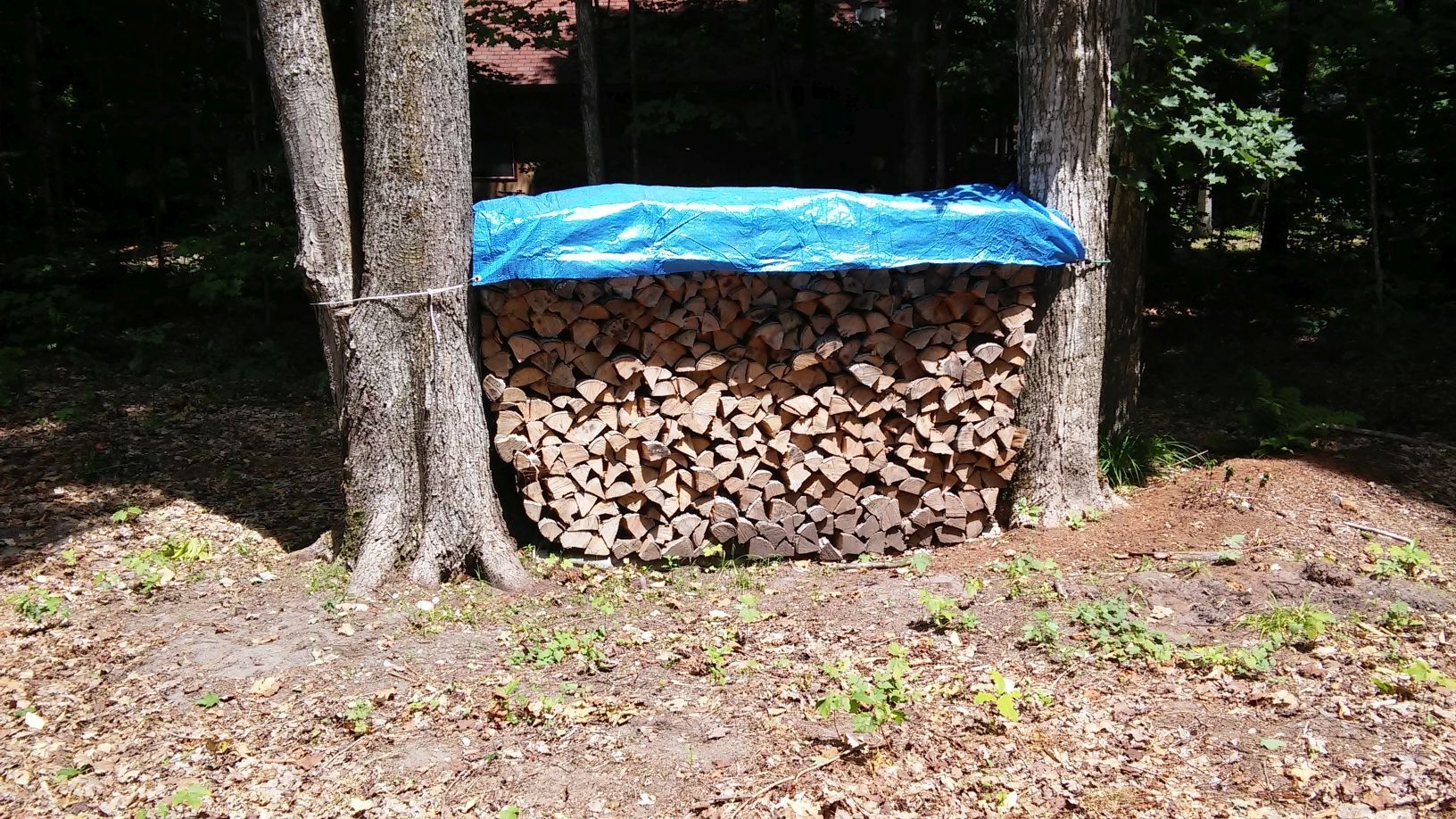 [Hearth.com] Getting ready for winter