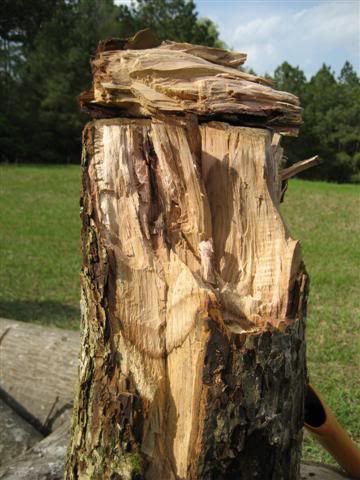 [Hearth.com] Wood ID...possible scrounge..not much to go with right now....
