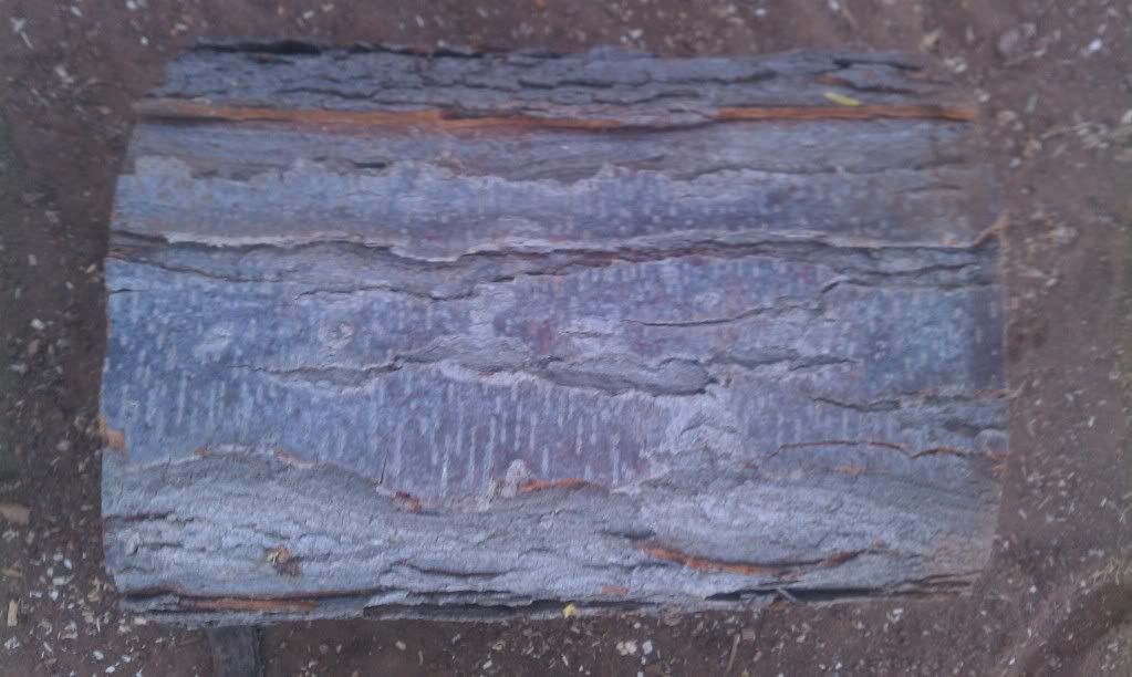 [Hearth.com] wood id