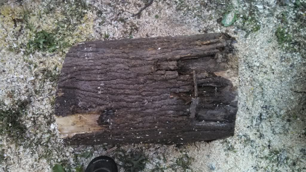 Wood ID