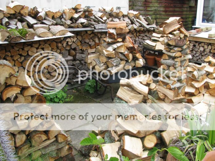 UK storms have boosted my wood supply!!!!!!!