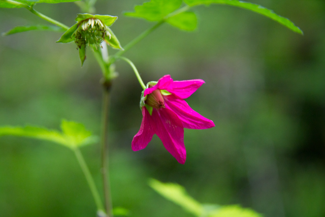 [Hearth.com] Spring is here