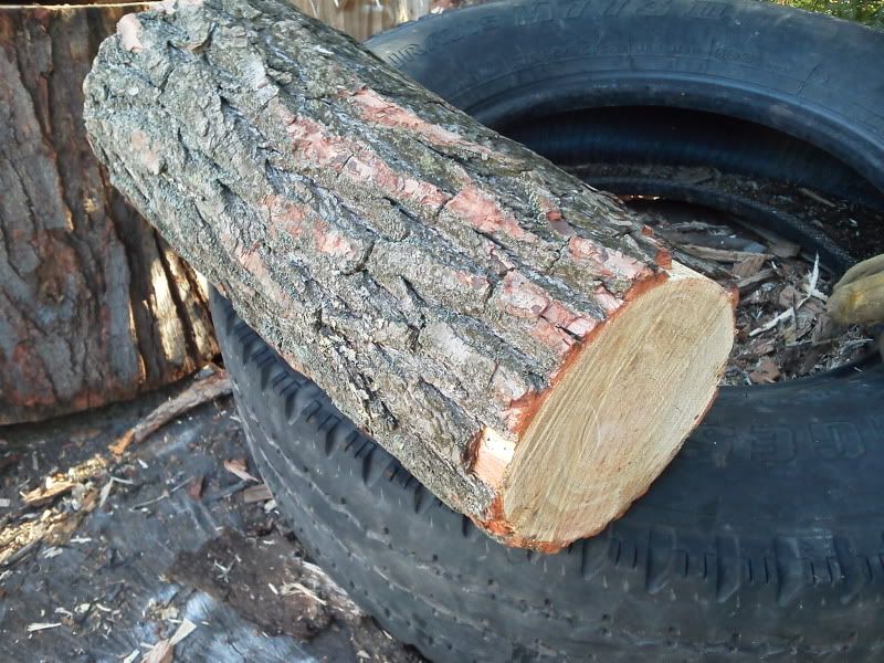 [Hearth.com] Wood I.D. if you guys don't mind...