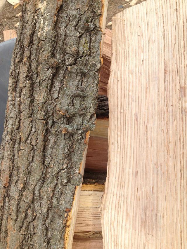 [Hearth.com] Help With Wood ID