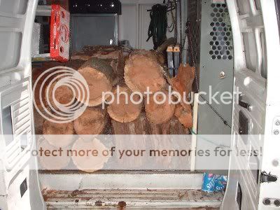 [Hearth.com] Yes, Firewood Grows On Trees