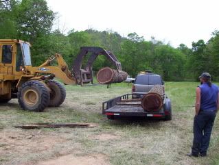 Selling Black Walnut Logs