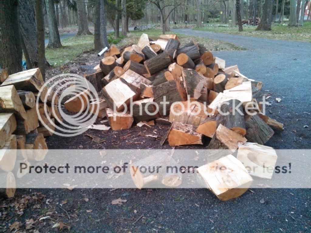 [Hearth.com] Special Delivery + Wood ID