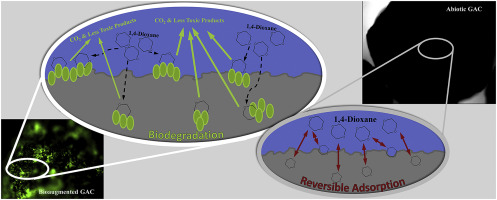 www.sciencedirect.com