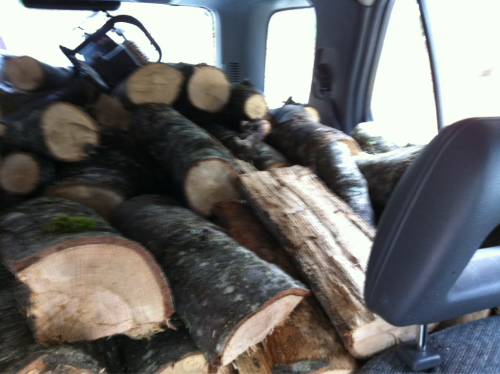 [Hearth.com] Went out cutting last weekend :)
