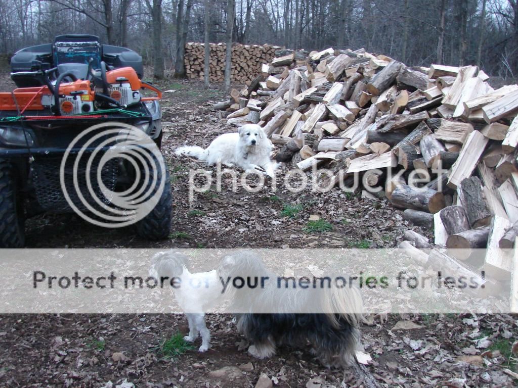 [Hearth.com] Oak Sucks!